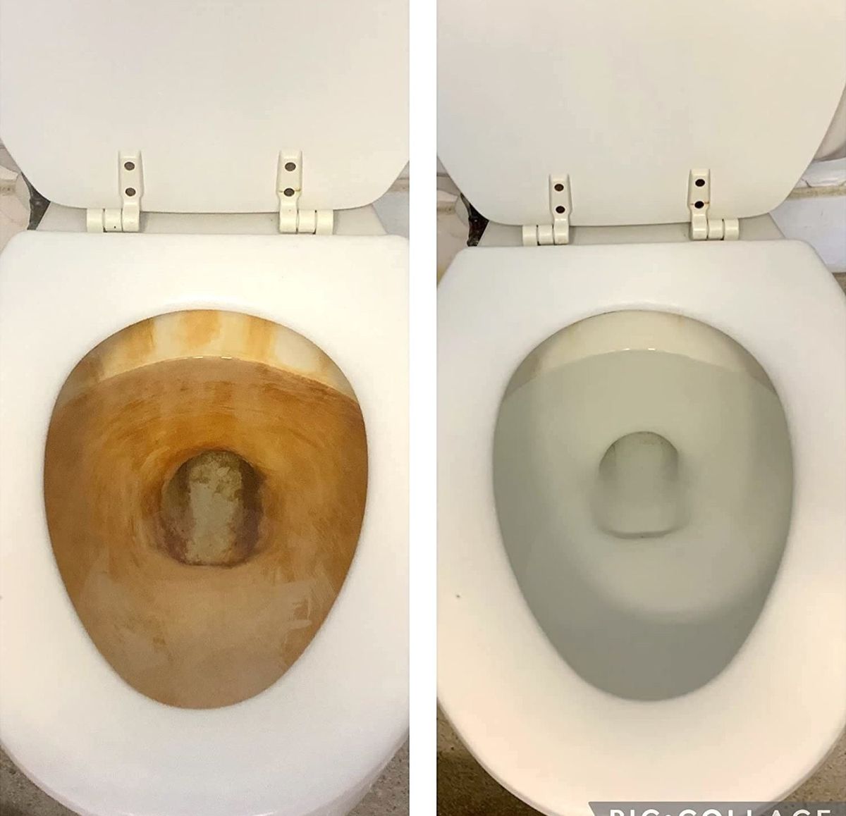 Toilet Seat